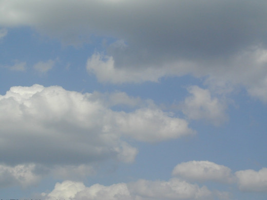 28955 (a): :1280x960
